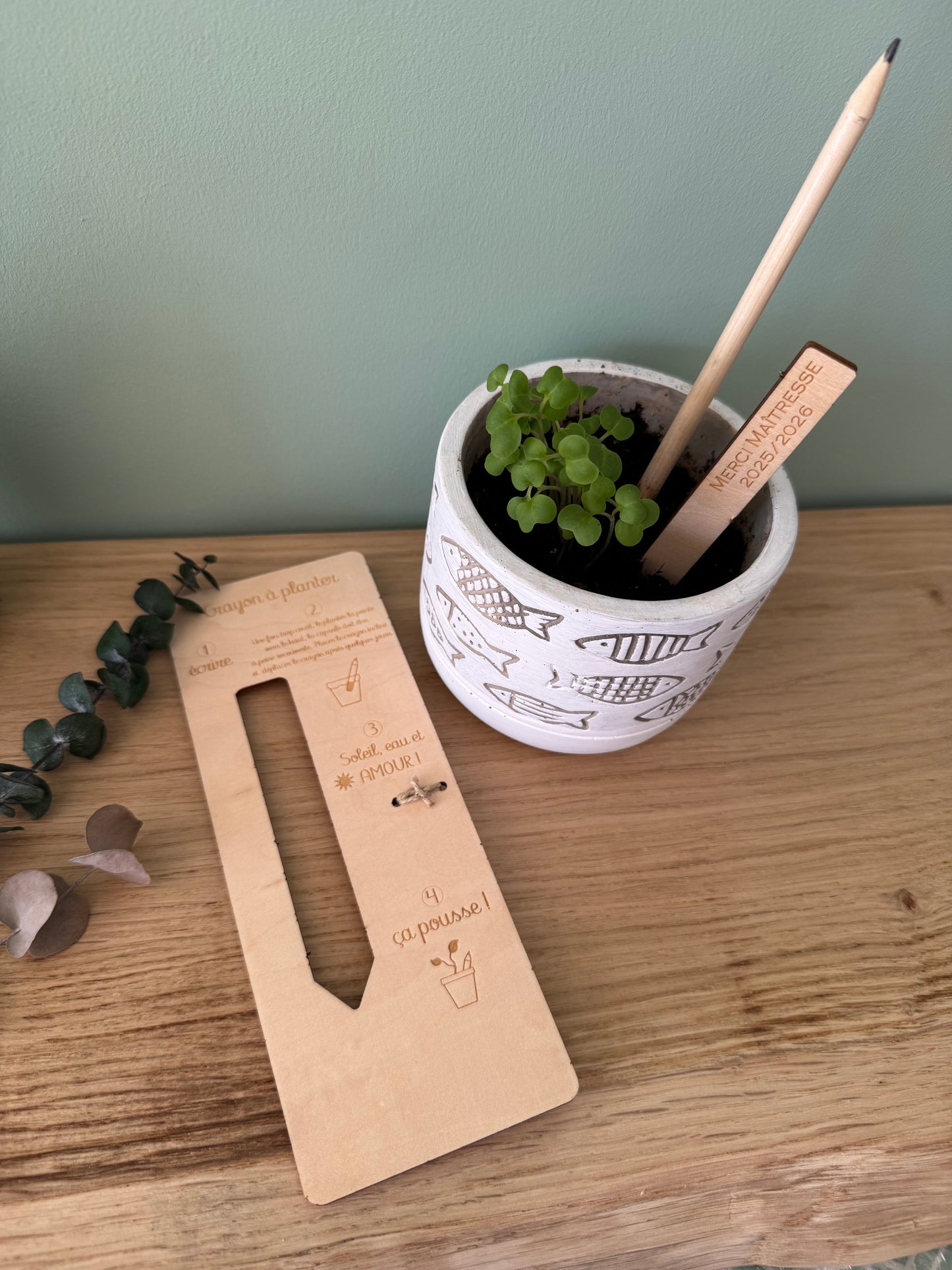 Crayon à planter